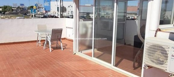 3 bedrooms Villa in La Zenia, Spain No. 261772 25