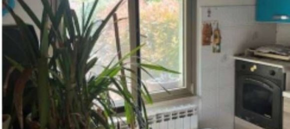 5 bedrooms Apartment in Poggio Rusco, Italy No. 359700 3