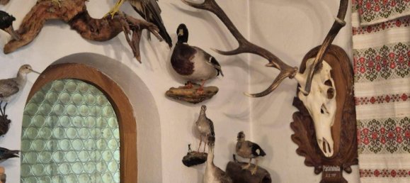 3-Zimmer Haus in Eisenstadt, Austria, Nr. 222406 13