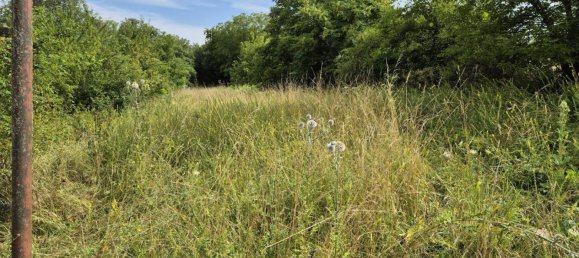 3-Zimmer Haus in Eisenstadt, Austria, Nr. 222406 21