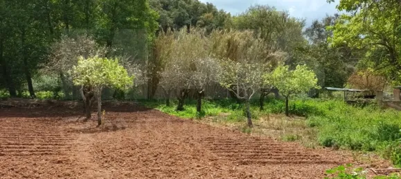 2 Schlafzimmer Haus in Reliquias, Portugal, Nr. 133946 14