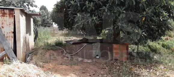 2 Schlafzimmer Haus in Reliquias, Portugal, Nr. 133946 13