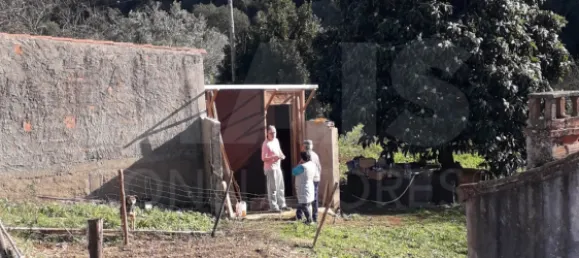 2 Schlafzimmer Haus in Reliquias, Portugal, Nr. 133946 4