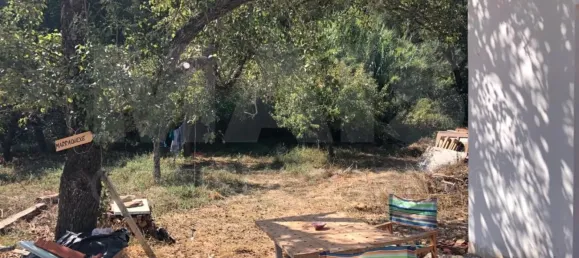 2 Schlafzimmer Haus in Reliquias, Portugal, Nr. 133946 3