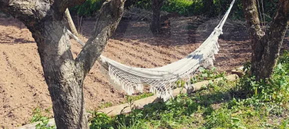 2 Schlafzimmer Haus in Reliquias, Portugal, Nr. 133946 11
