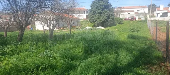 2 Schlafzimmer Haus in Reliquias, Portugal, Nr. 133946 12