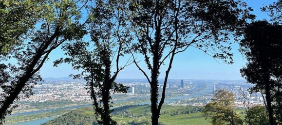 9 rooms Villa in Dobling, Austria No. 125230 10