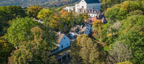 9 rooms Villa in Dobling, Austria No. 125230 6