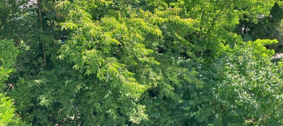 2 rooms Duplex in Erlangen, Germany No. 334225 3