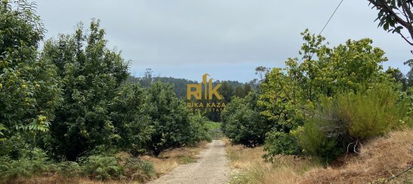 10000m² Land in Calheta, Portugal No. 109595 16