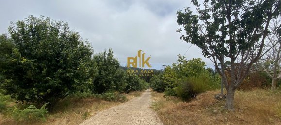 10000m² Land in Calheta, Portugal No. 109595 18