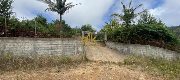 10000m² Land in Calheta, Portugal No. 109595 28