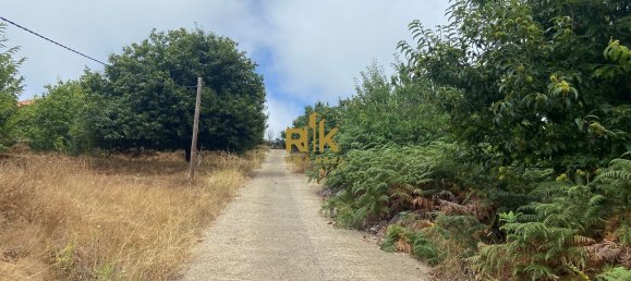 10000m² Land in Calheta, Portugal No. 109595 24