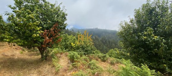 10000m² Land in Calheta, Portugal No. 109595 20