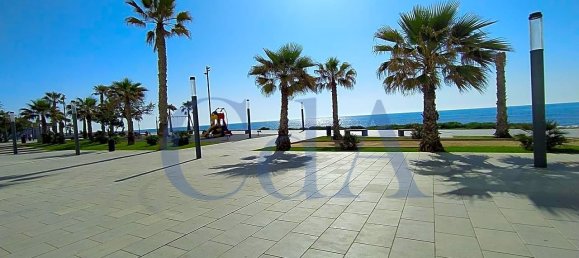 1 bedroom Shop in Torrevieja, Spain No. 4934 3