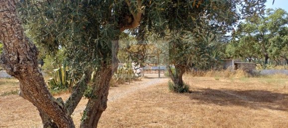 3 Schlafzimmer Haus in Grandola, Portugal, Nr. 209982 4