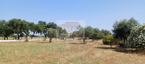 3 Schlafzimmer Haus in Grandola, Portugal, Nr. 209982 27