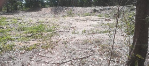 30400m² Commercial property in Mai Khao, Thailand No. 12491 5