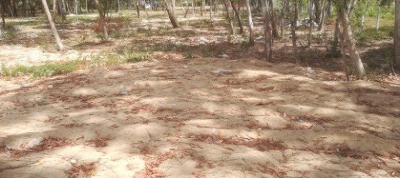 30400m² Commercial property in Mai Khao, Thailand No. 12491 6