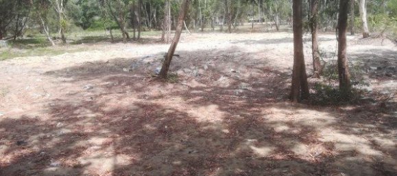 30400m² Commercial property in Mai Khao, Thailand No. 12491 12