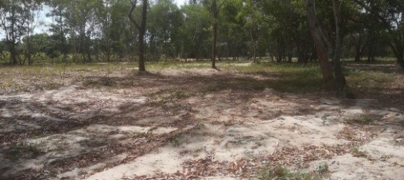 30400m² Commercial property in Mai Khao, Thailand No. 12491 8