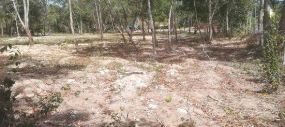 30400m² Commercial property in Mai Khao, Thailand No. 12491 11