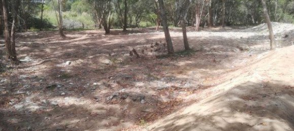 30400m² Commercial property in Mai Khao, Thailand No. 12491 10