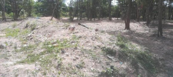 30400m² Commercial property in Mai Khao, Thailand No. 12491 9