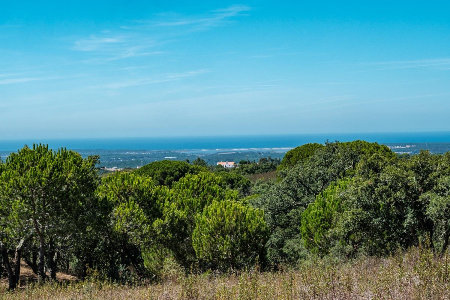  Land in Santiago do Cacem, Portugal No. 346337