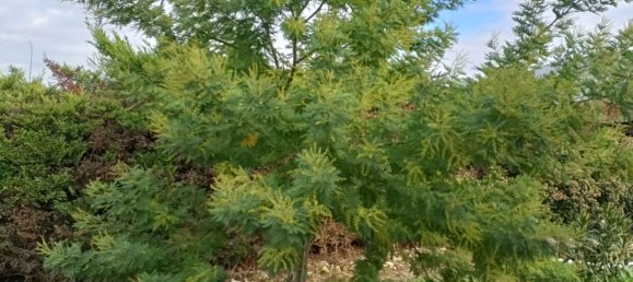 10 rooms House in Corciano, Italy No. 158386 30