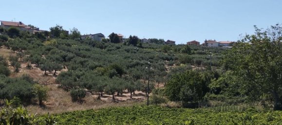 8 chambres Villa à Castel Frentano, Italy No. 349346 39