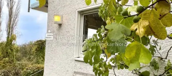 7-salle Châteaux à Rhein-Neckar-Kreis, Germany No. 24128 28