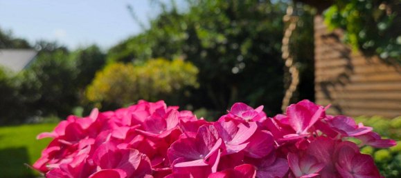 4 chambres Maison de ville à Oldenburg, Germany No. 363538 16