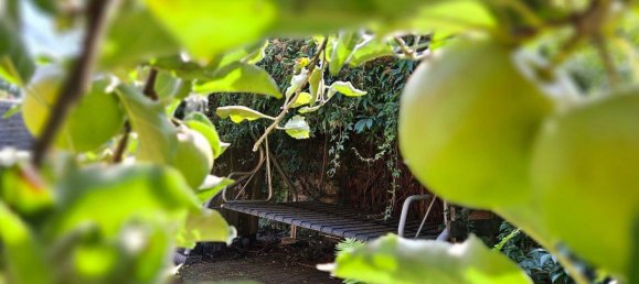 4 chambres Maison de ville à Oldenburg, Germany No. 363538 23