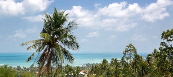 4 bedrooms Cafe / restaurant in Ko Samui, Thailand No. 12794 23