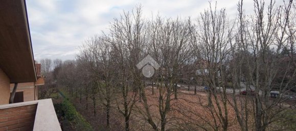 Дом с 7 комнатами в Формиджине, Италия № 24239 46