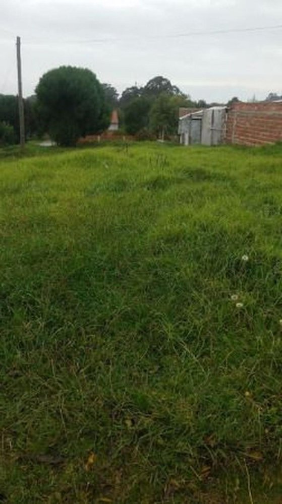 Terrain à Mar del Plata, Argentina No. 110878