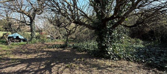 Grundstück in Colturano, Italy 3300m², Nr. 265158 11