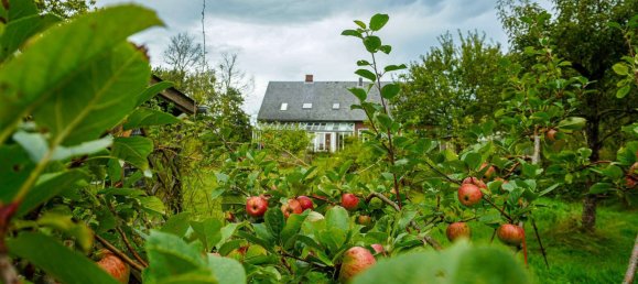 5 chambres Maison à Schleswig-Holstein, Germany No. 44308 159
