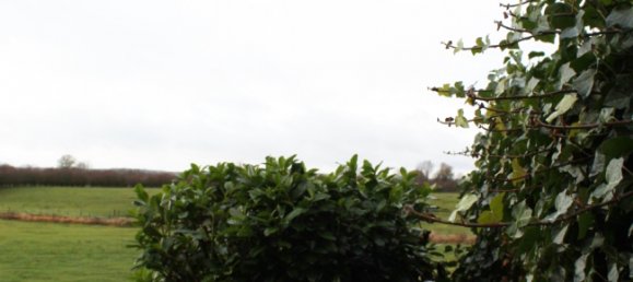 4 غرف نوم تاون هاوس في Nienburg, Germany رقم 128019 6