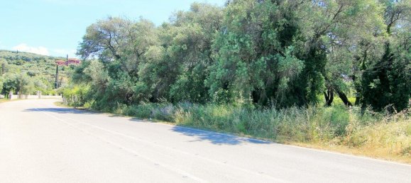 2000m² Hotel in Corfu, Greece No. 3927 7