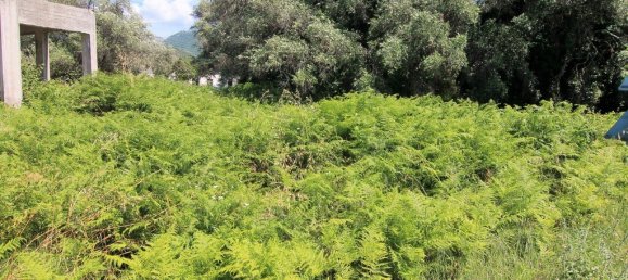2000m² Hotel for sale in Corfu, Central Corfu and Diapontian Islands, Corfu, Ionian Islands, Peloponnese, Western Greece and the Ionian, Greece № 3927 2