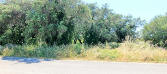 2000m² Hotel in Corfu, Greece No. 3927 8