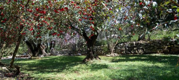 6-salle Maison à Fondi, Italy No. 150343 8