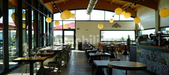 2 rooms Commercial property in Viareggio, Italy No. 211542 5