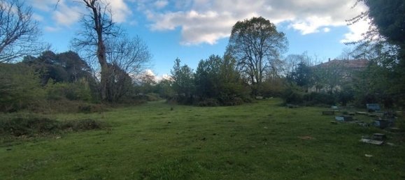 3000m² Land in Quenza, France No. 42547 3