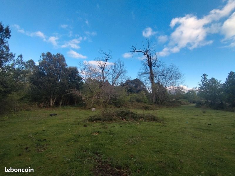3000m² Land in Quenza, France No. 42547