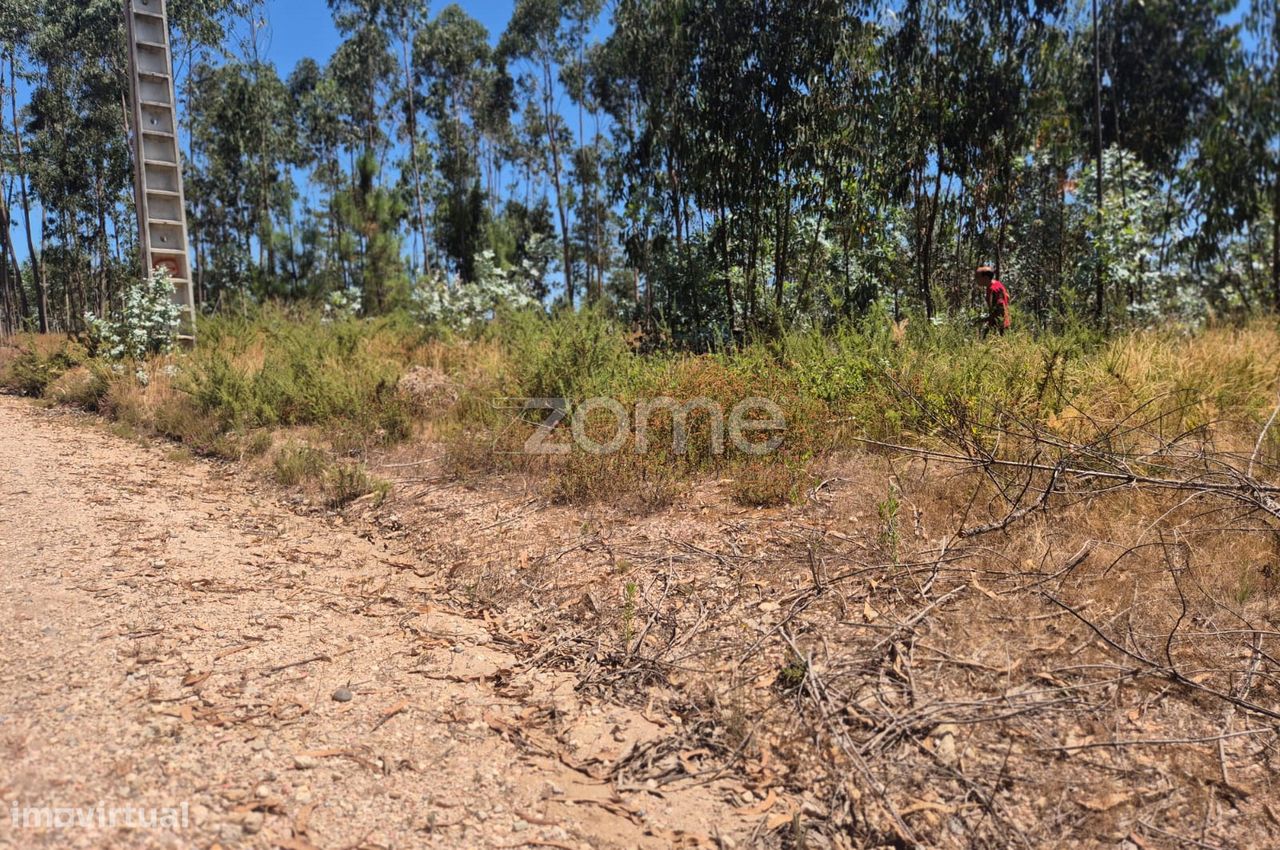 3240m² Land in Caranguejeira, Portugal No. 321454