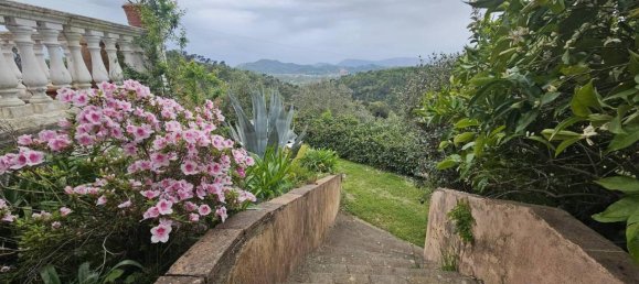 4 rooms Villa in Sarzana, Italy No. 21709 47