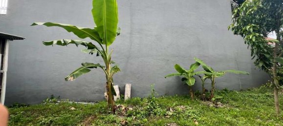 Terreno en Denpasar, Indonesia 420 m² No. 3918 9